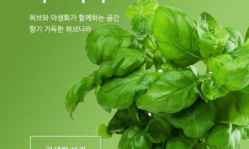 나라토이 이미지