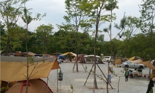 용인밤골캠핑장 이미지