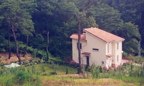춘천 더숲 캠핑장 이미지