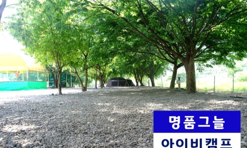 아이비오토캠핑장 이미지