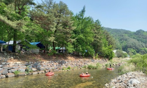 사랑나무 캠핑장 이미지