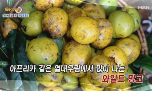 와이드와일드 이미지