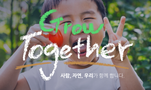 대영국제 이미지