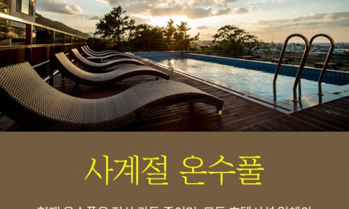 샐리스 이미지