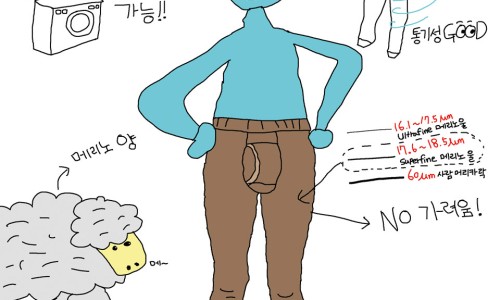 레이어21 이미지