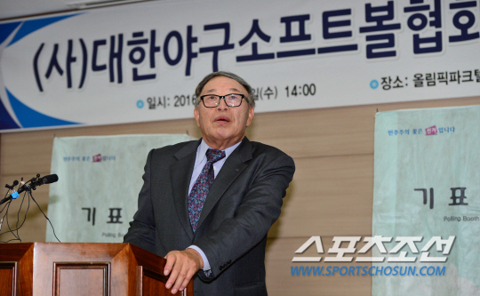 국민생활체육전국소프트볼연합회 이미지