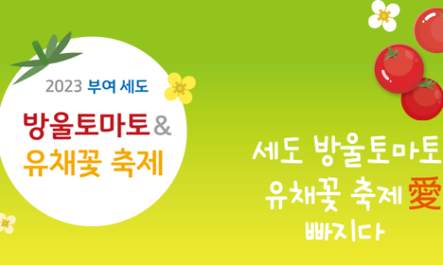 부여토마토 이미지