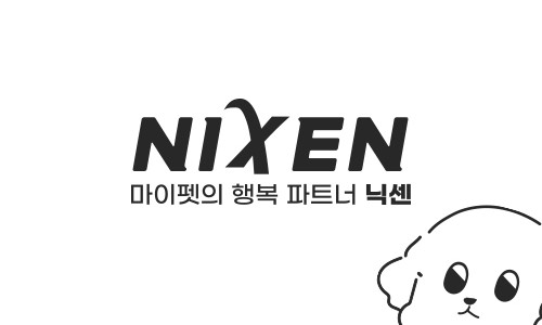 jp인터네셔널 이미지