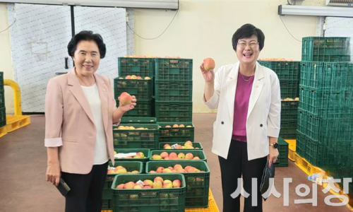 거창사과원협청과물종합처리장 이미지