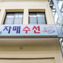 자매수선 이미지