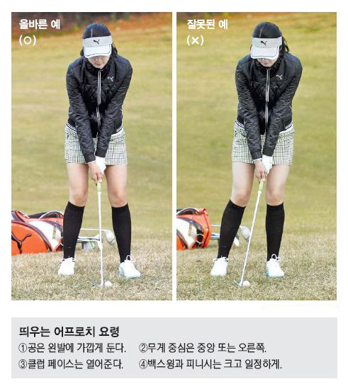 퍼펙트프로 이미지