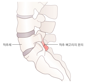 연세광혜병원 이미지