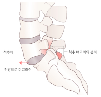 연세광혜병원 이미지