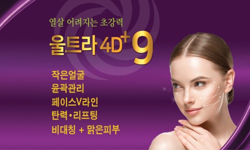 라인에스테 이미지