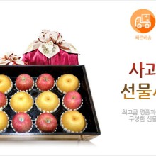 썬플러스 이미지