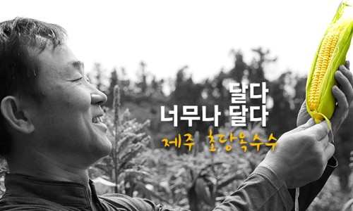 더초당 이미지