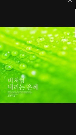 은혜카페 이미지
