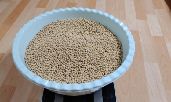 리메주 이미지