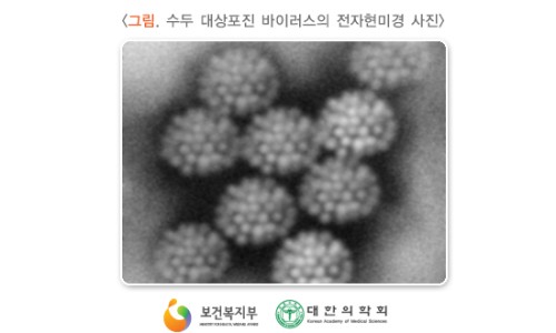 동국한의원 이미지