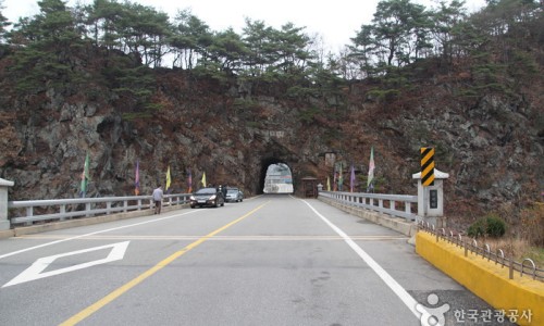 나무와그릇 이미지