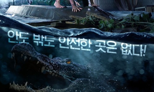 크롤크롤 이미지