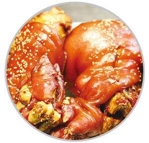 여행스토리주 이미지