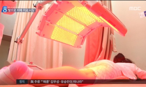 라파시스템 이미지