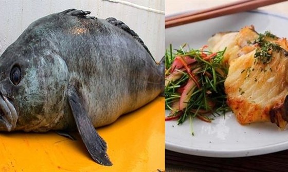 메로 이미지