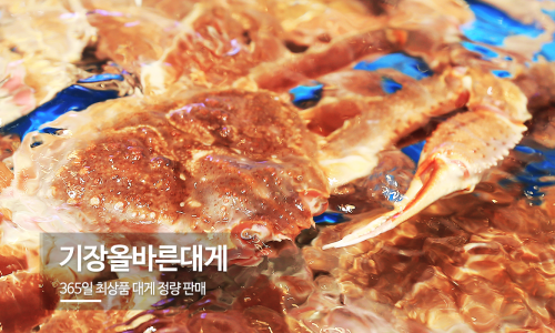 부산대게 이미지