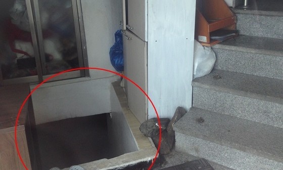 토끼굴 이미지