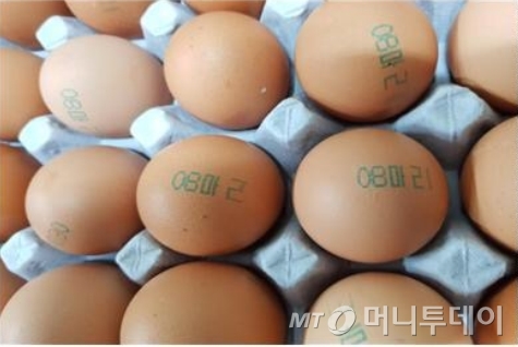 벧엘농장 이미지