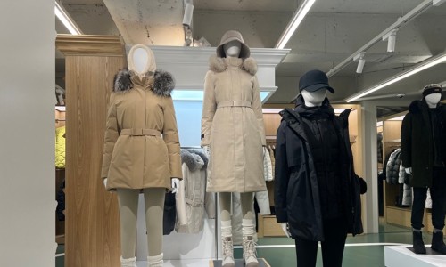 네파문정 이미지