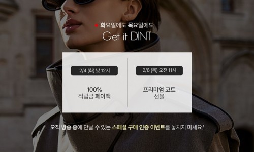 딘트주 이미지