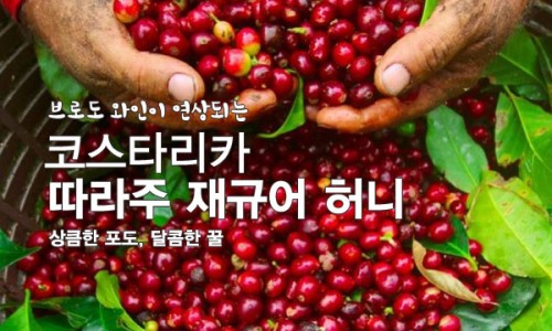 동진교역 이미지