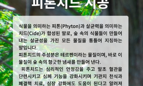 충남일자리협동조합 이미지