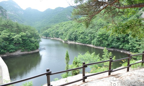 국립변산자연휴양림 이미지