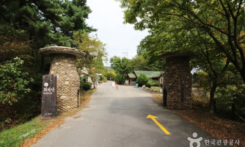 국립희리산해송자연휴양림 이미지
