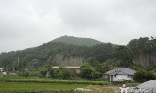 국립희리산해송자연휴양림 이미지