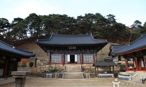 대야산자연휴양림 이미지