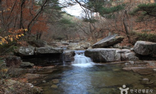 대야산자연휴양림 이미지