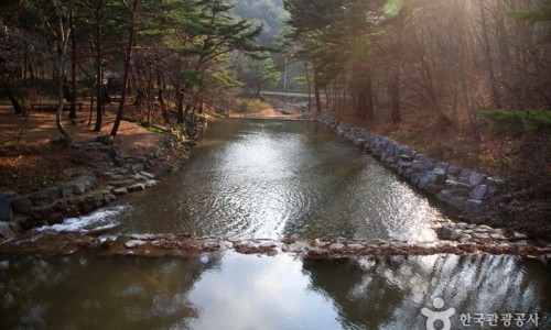 국립검마산자연휴양림 이미지