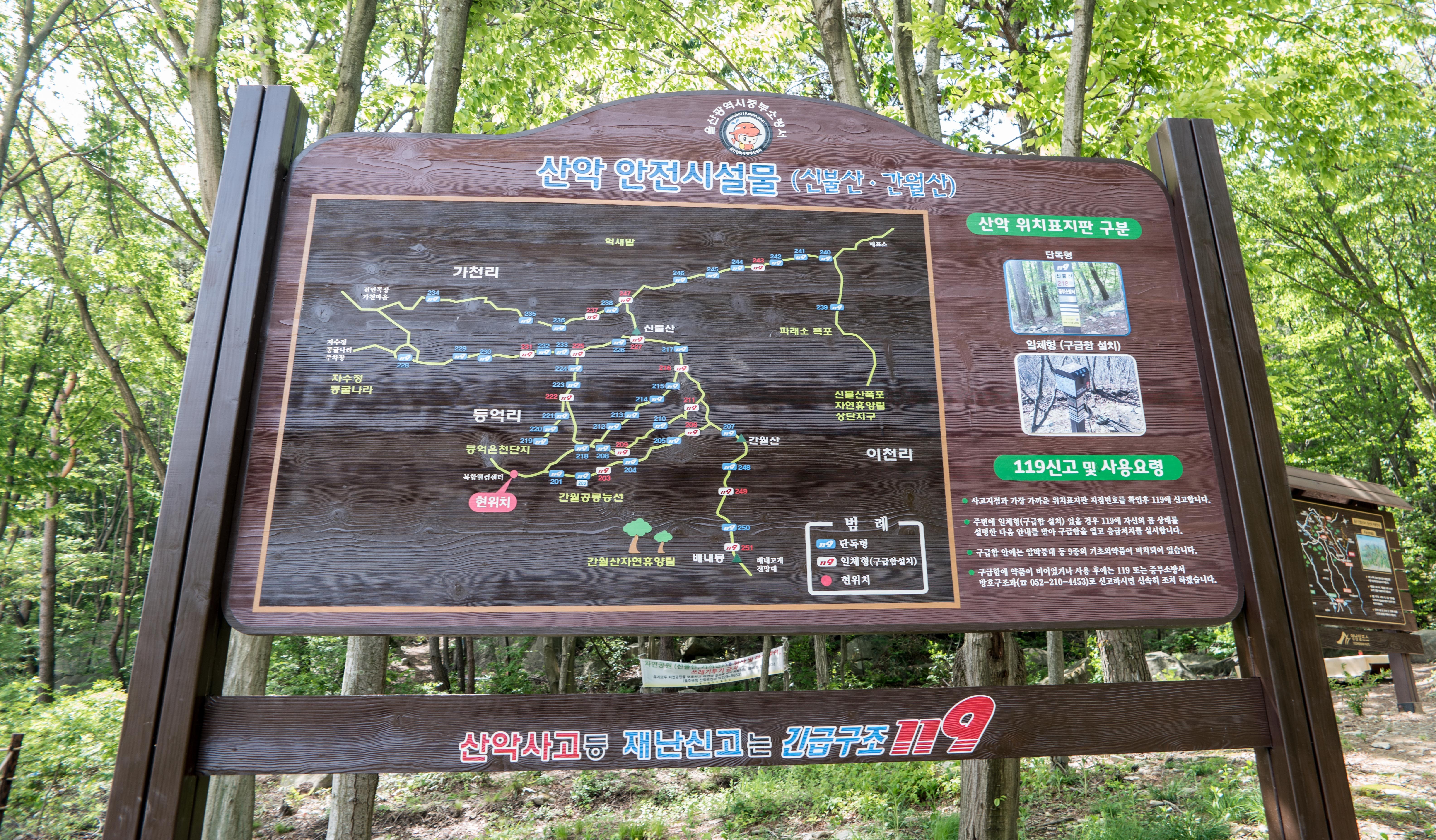 청춘불고기 이미지