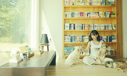 다감스테이 이미지