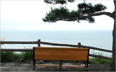 나무와쉬리 이미지