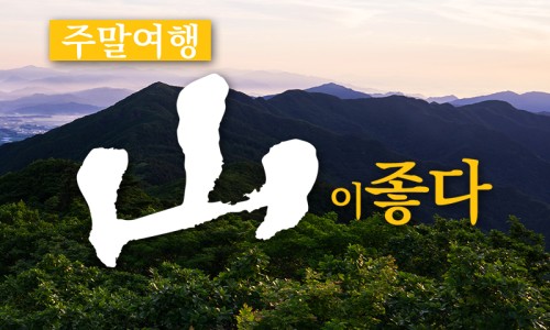 산성누룩 이미지