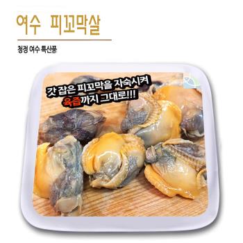 그린피쉬 이미지