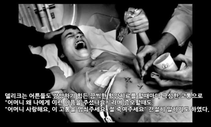 아들의 안락사를 결정한 어느 어머니 - 첨부이미지 3