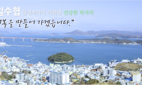 완도금일수산 이미지