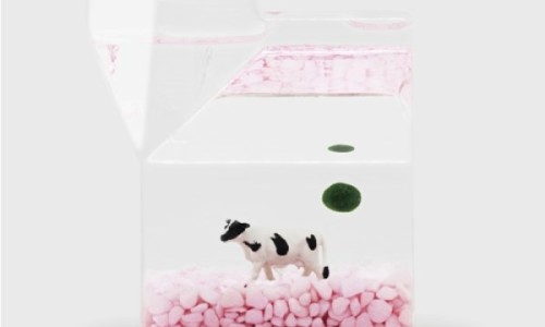 테드박스(TEDBOX) 이미지