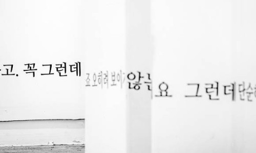 플로허 이미지